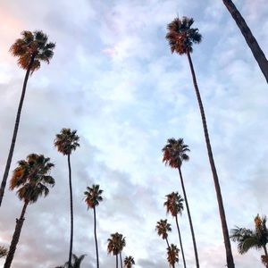 Meet your Posher, Katy